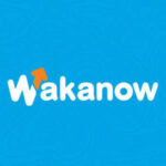 Wakanow.com Opens Shop in East Africa with Pay Small Small Initiative